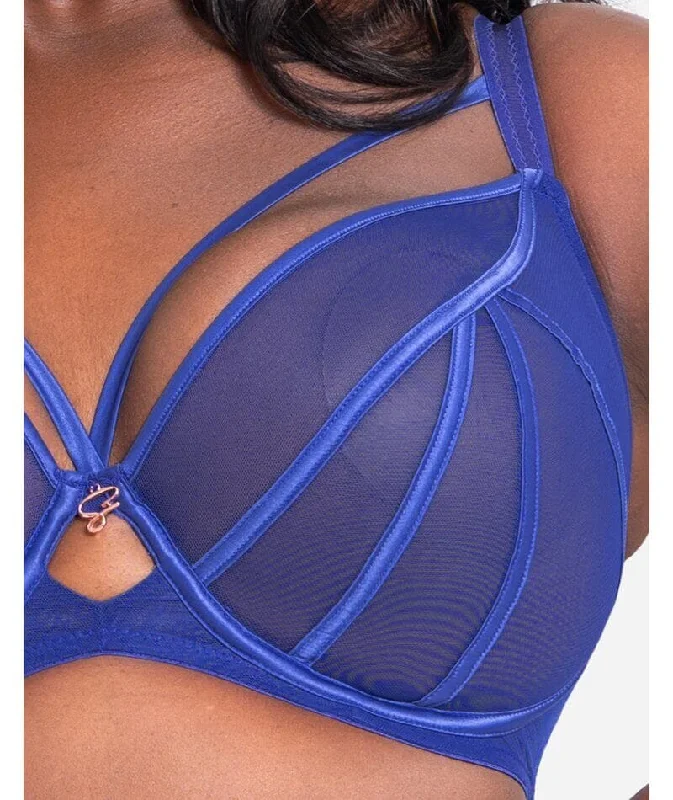 Scantilly Senses Plunge Bra - Ultraviolet