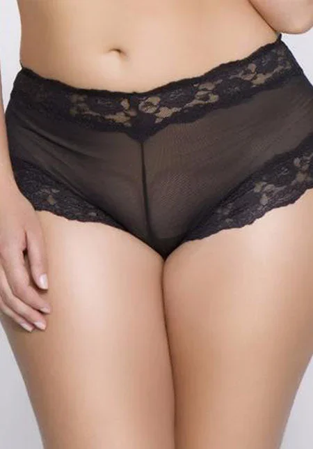 Kelly Sheer Mesh Boyleg Brief Black