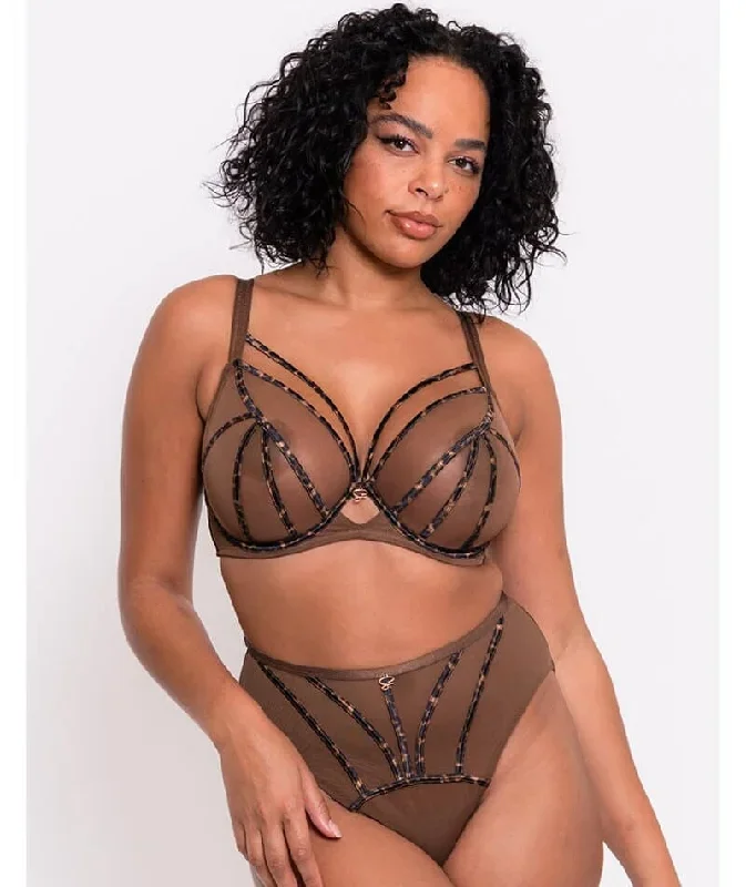 scantilly-senses-high-waist-brief-leopard-brown