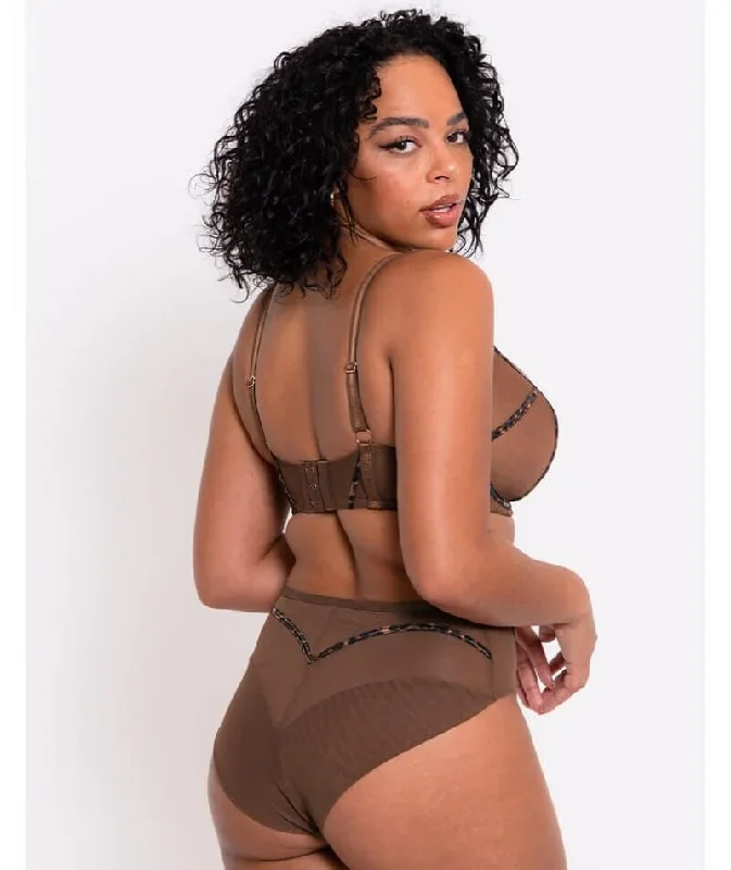 scantilly-senses-high-waist-brief-leopard-brown